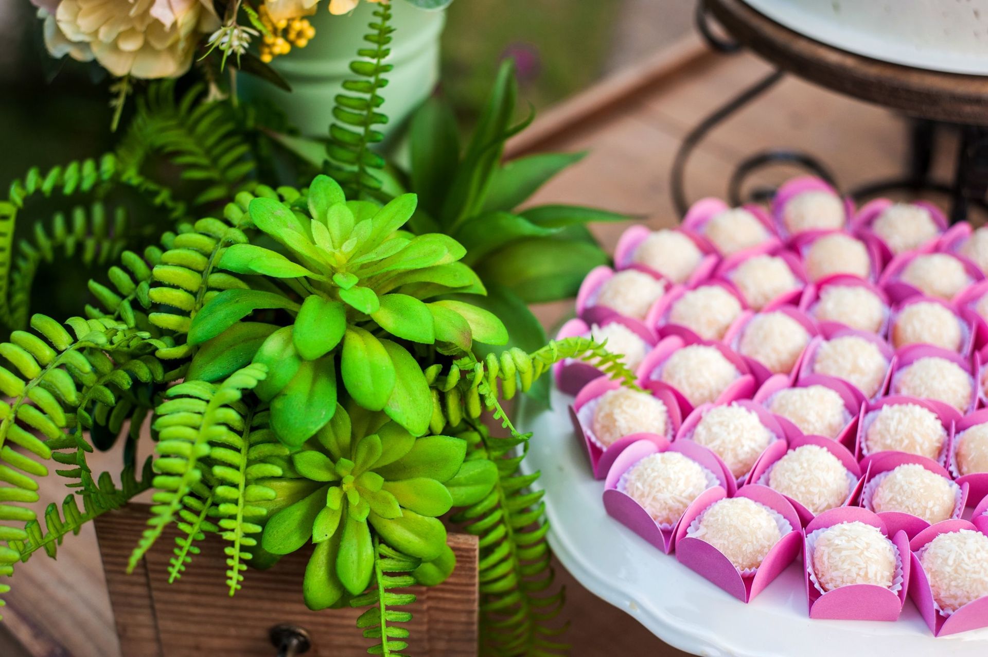 Foto Andrea - Aniversário - Imagem 21