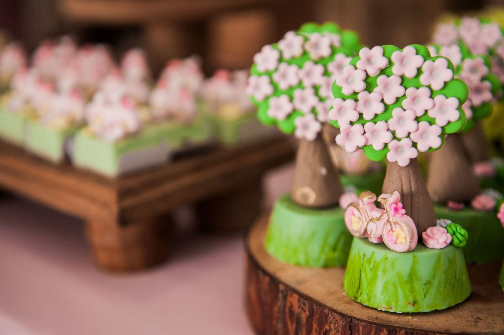 Foto Maria Fernanda - Imagem 16