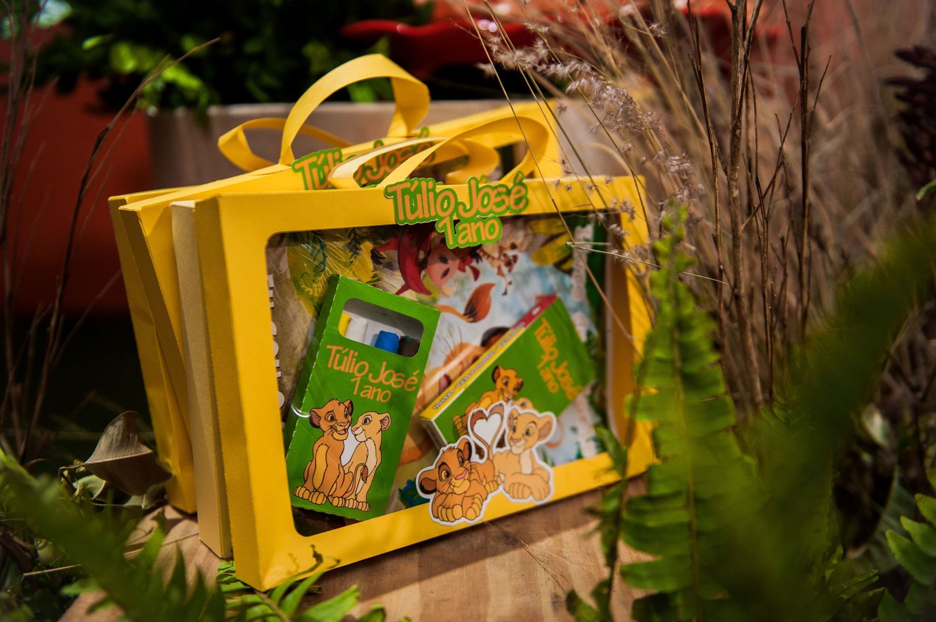 Foto Túlio José - 1 ano - Imagem 7