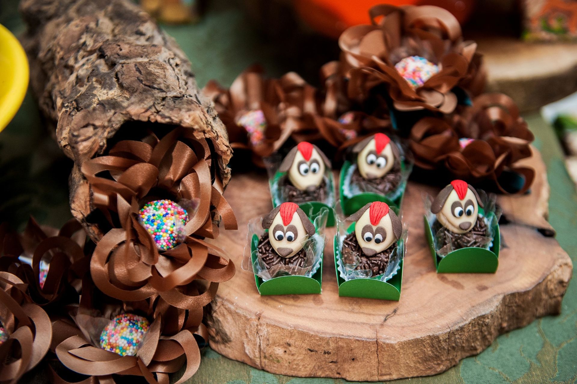 Foto Túlio José - 1 ano - Imagem 14