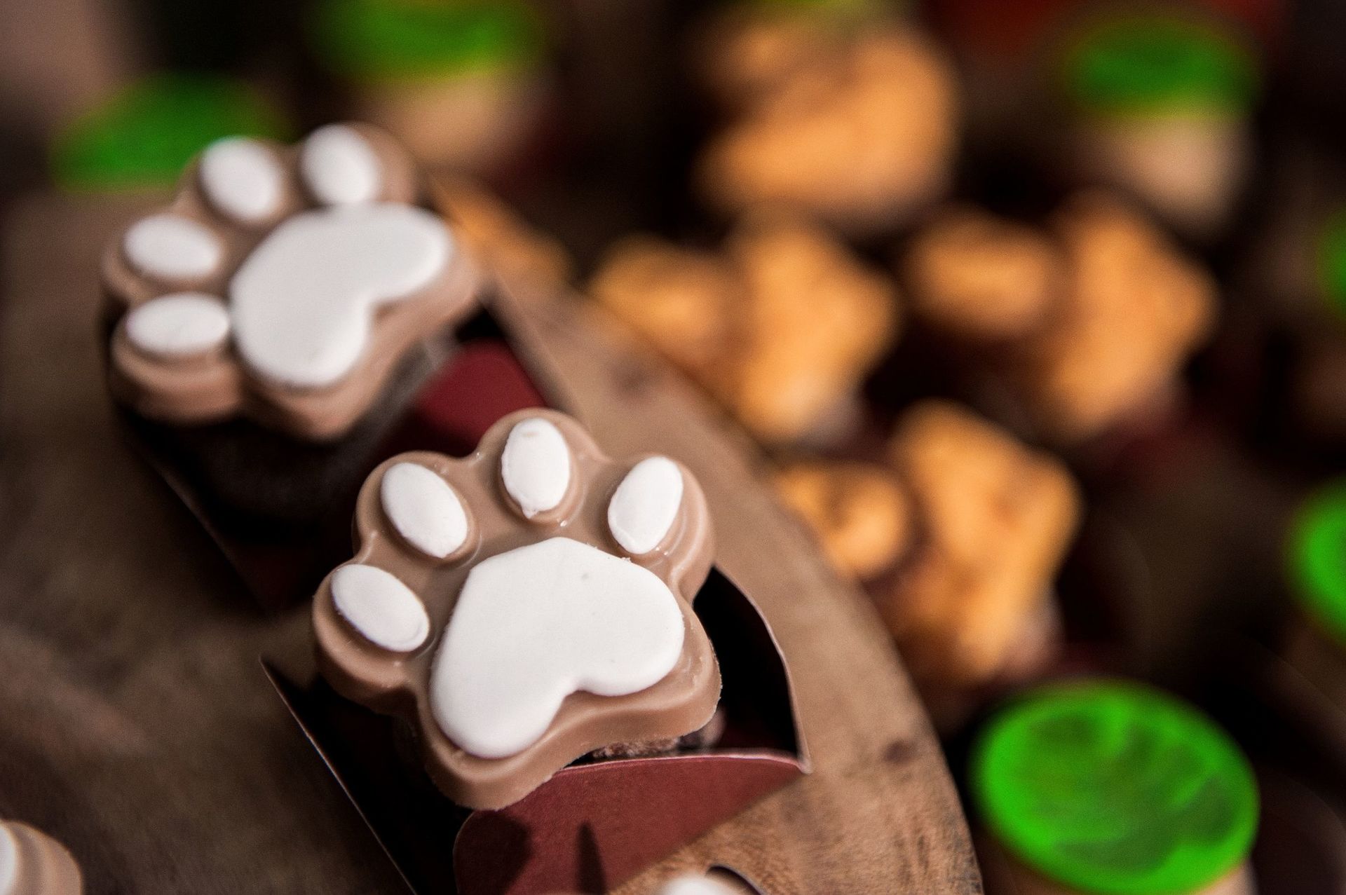 Foto Túlio José - 1 ano - Imagem 9