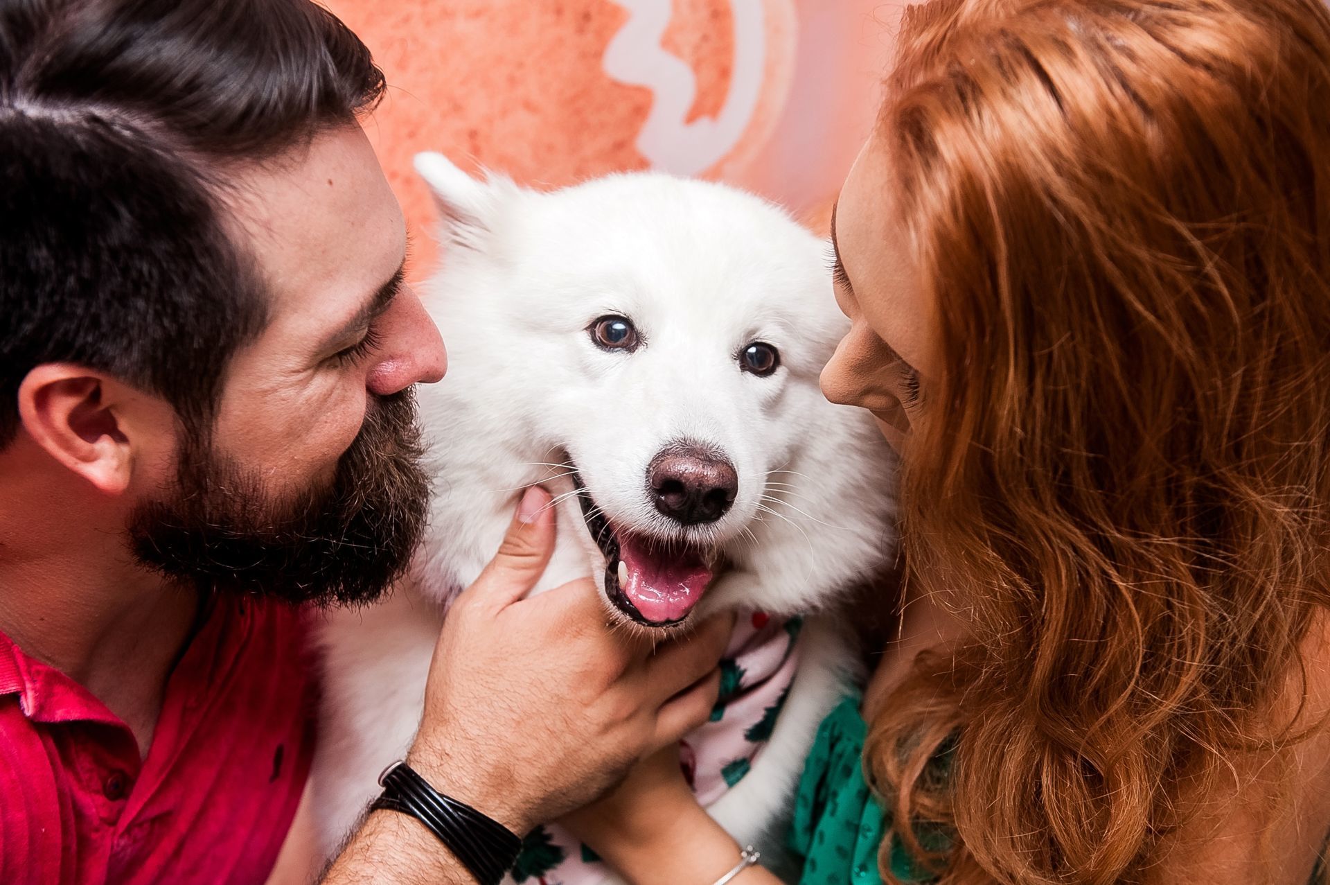 Foto Especial Natal Pet - Imagem 28