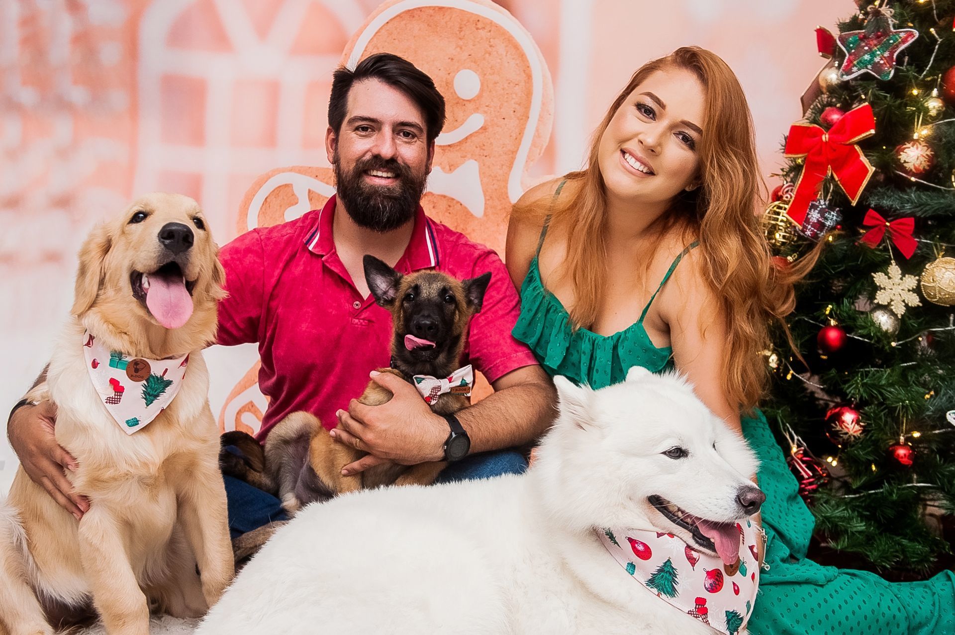 Foto Especial Natal Pet - Imagem 27
