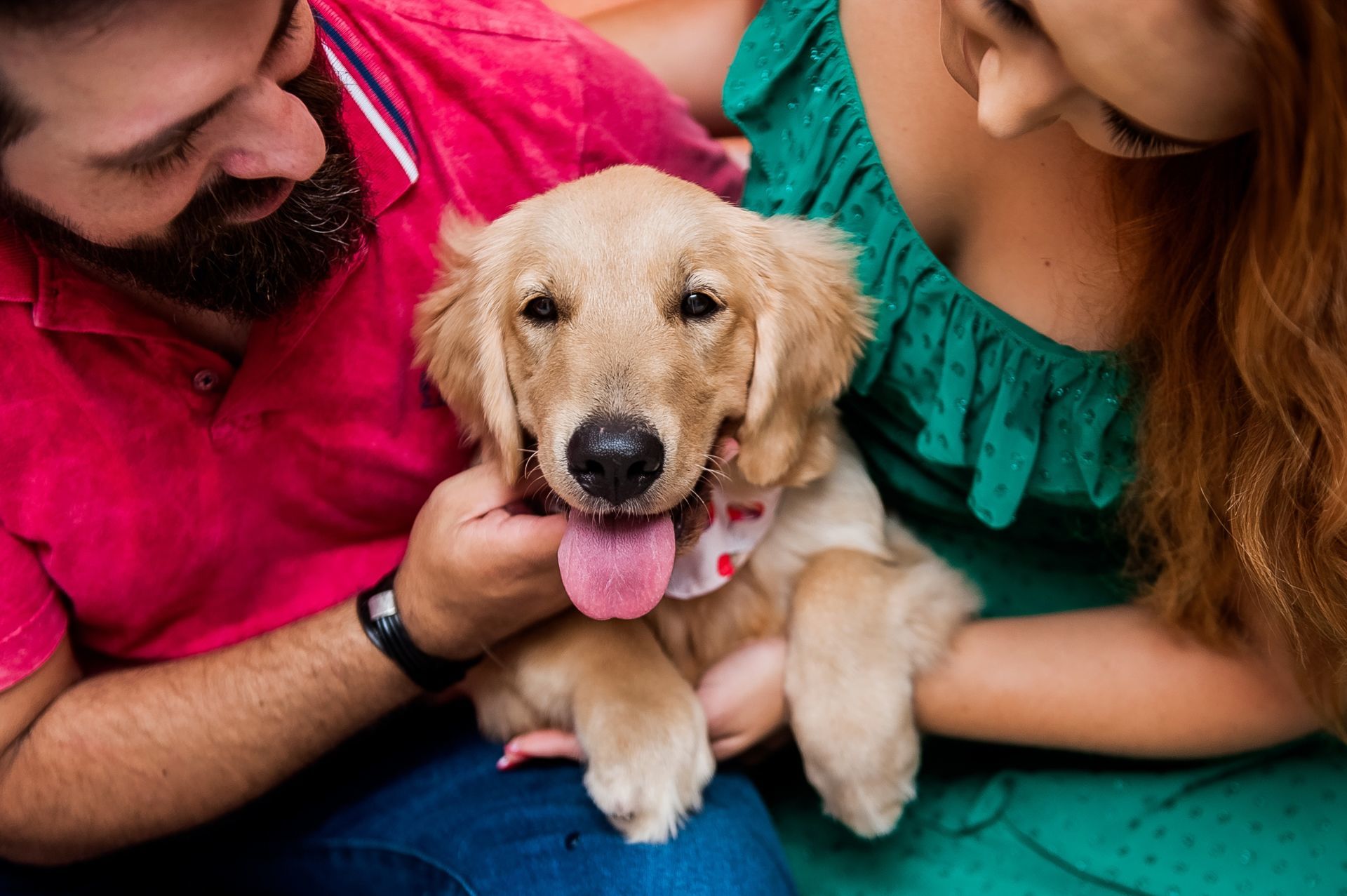 Foto Especial Natal Pet - Imagem 15