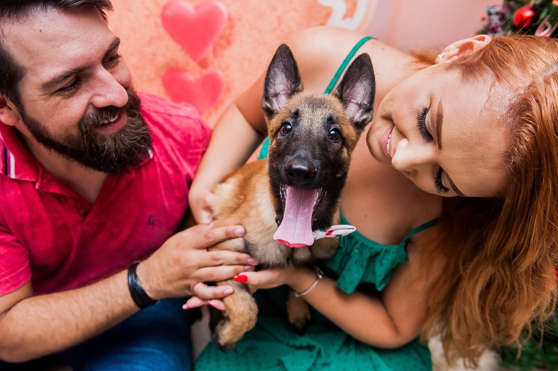 Foto Especial Natal Pet - Imagem 21