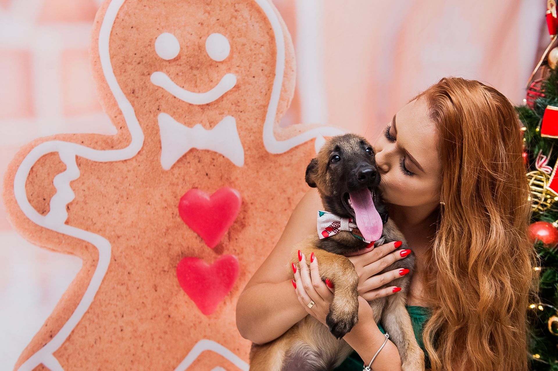 Foto Especial Natal Pet - Imagem 19