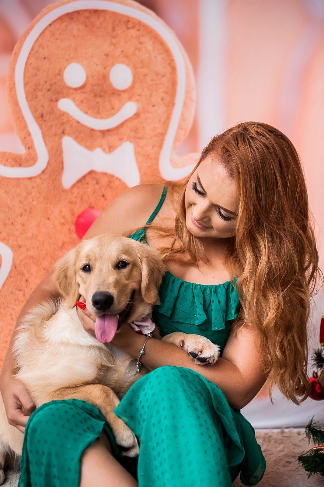 Foto Especial Natal Pet - Imagem 13